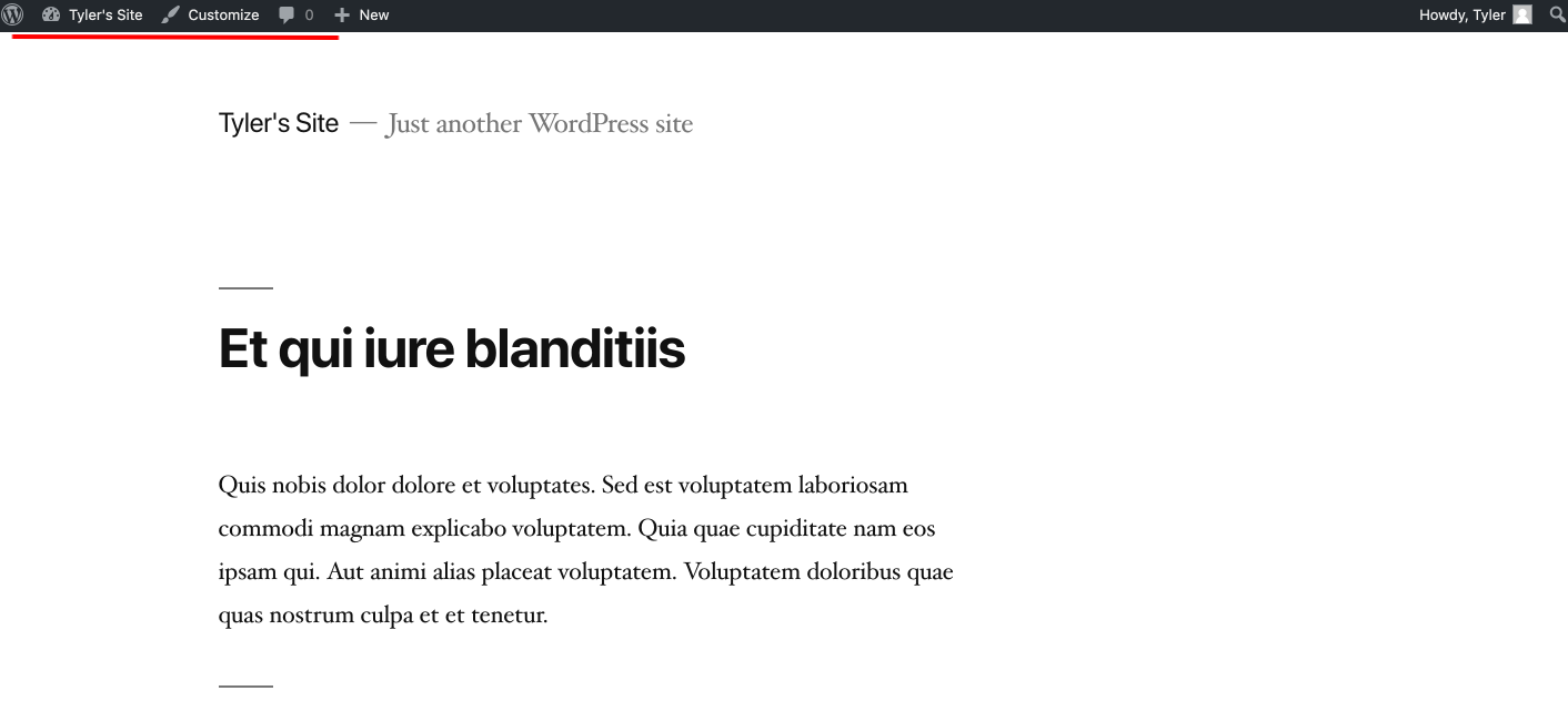 Tyler_s_Dev_Site___Just_another_WordPress_site.png